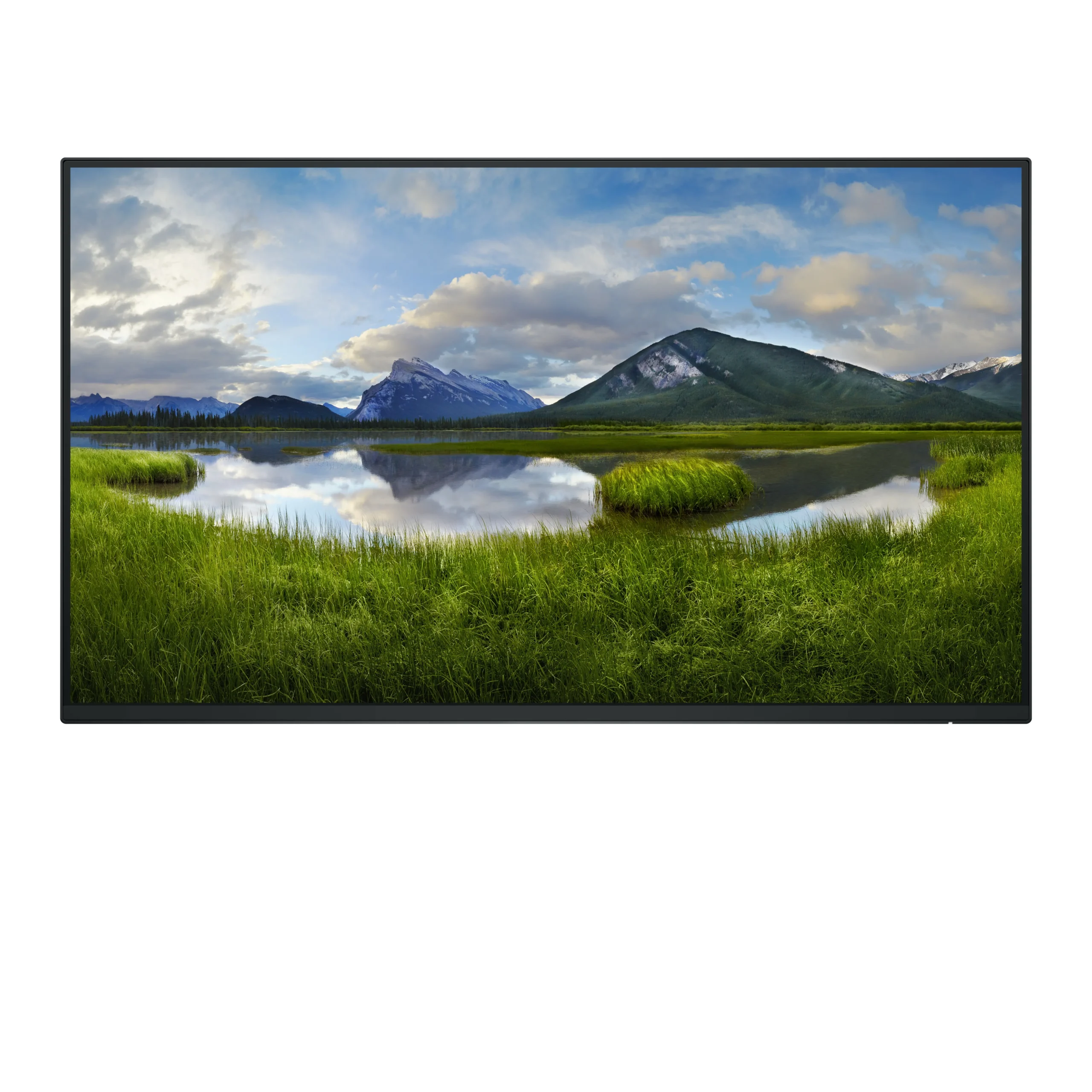 Dell Pro Plus P2425H_WOST 24" Full HD, IPS -näyttö (no stand)