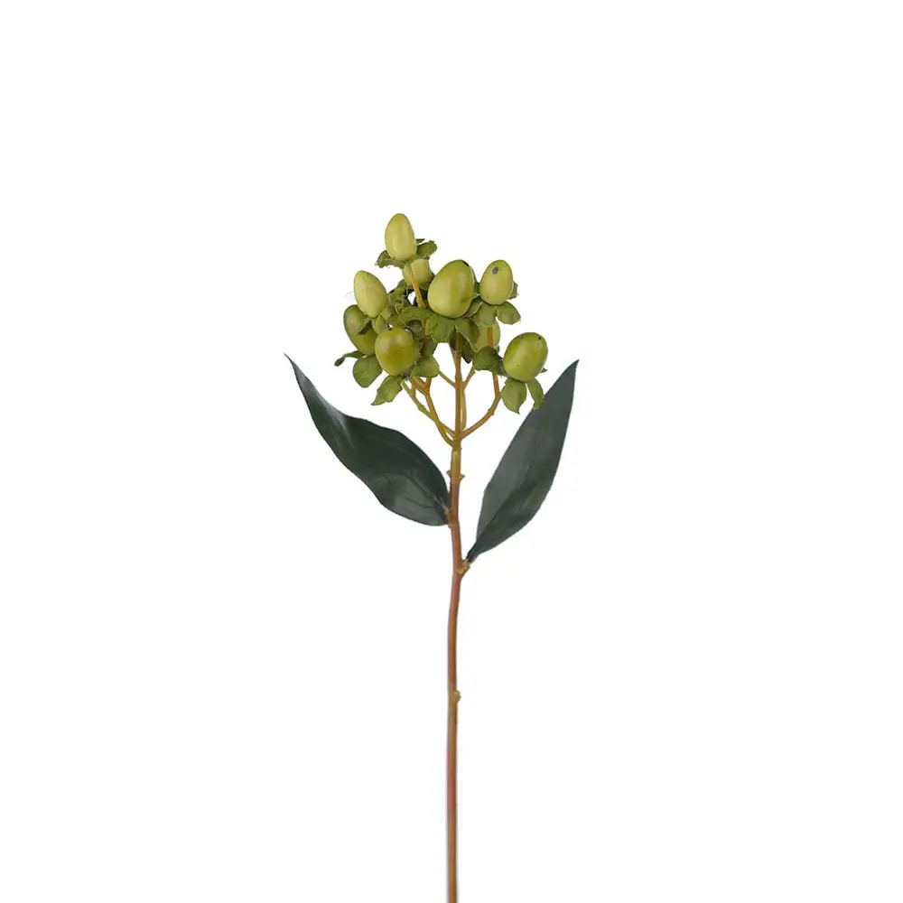 Mr Plant, Hypericum BärKvist 28 cm Grön