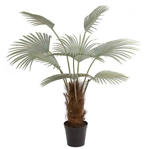 Mr Plant, Palm 150 cm Grå