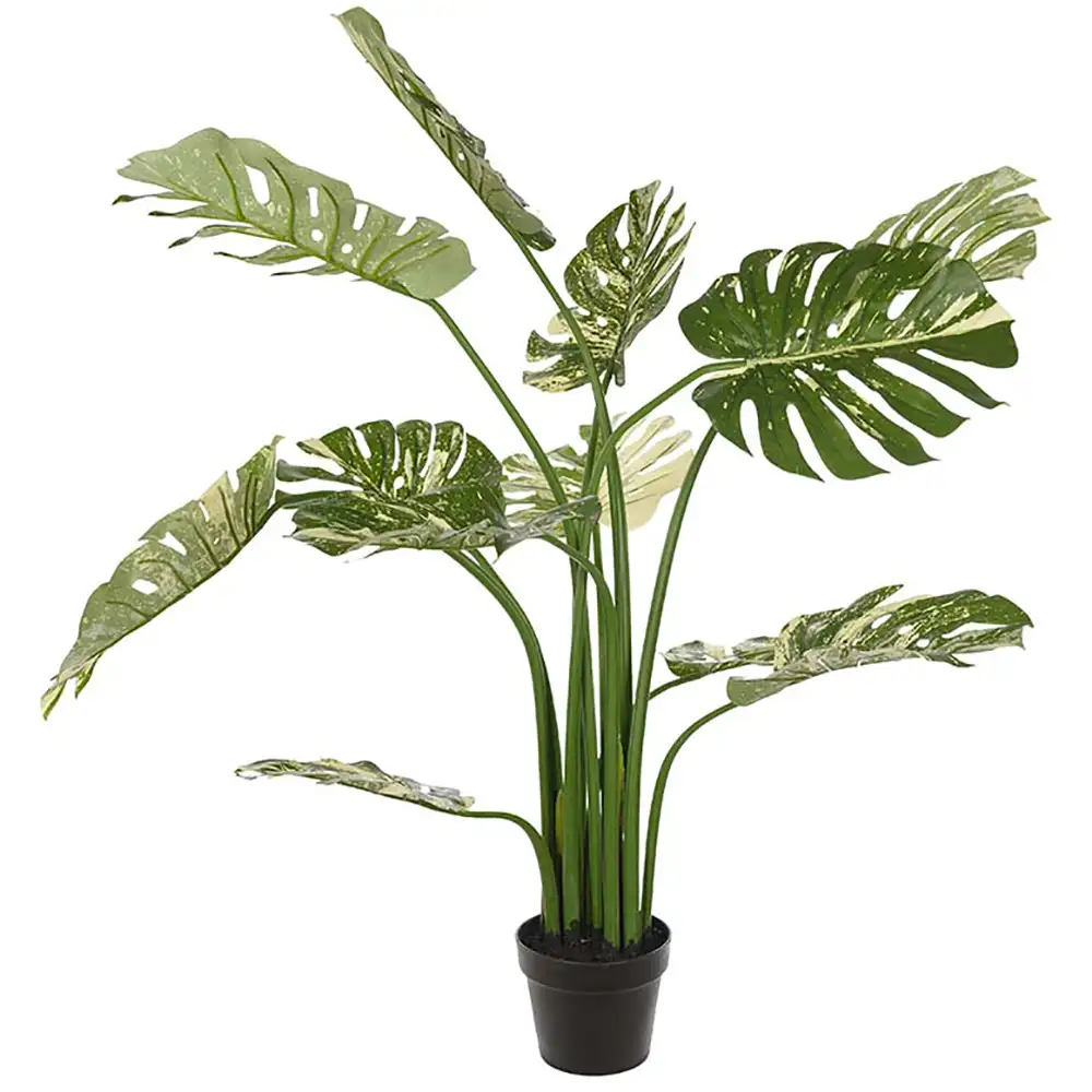 Mr Plant, Monstera 110 cm Grön