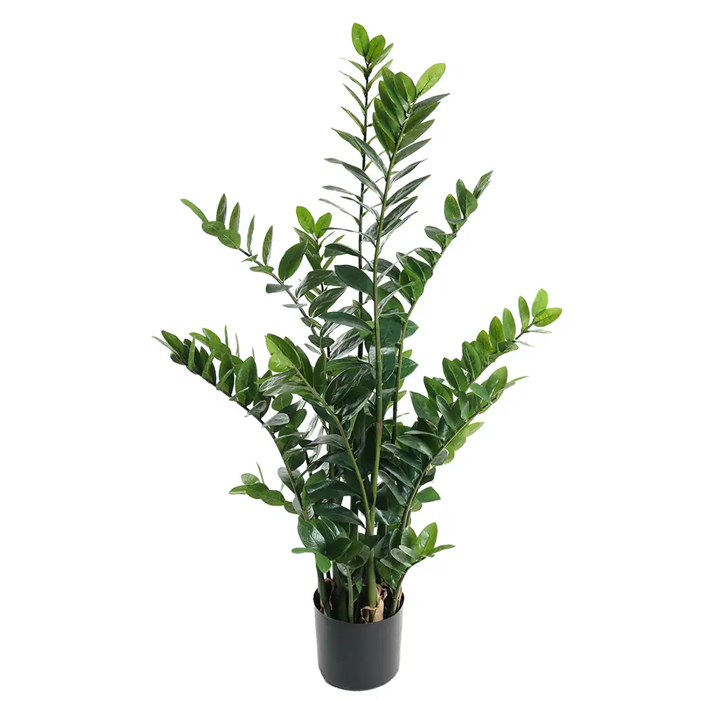 Mr Plant, Zamifolia Krukväxt 130 cm