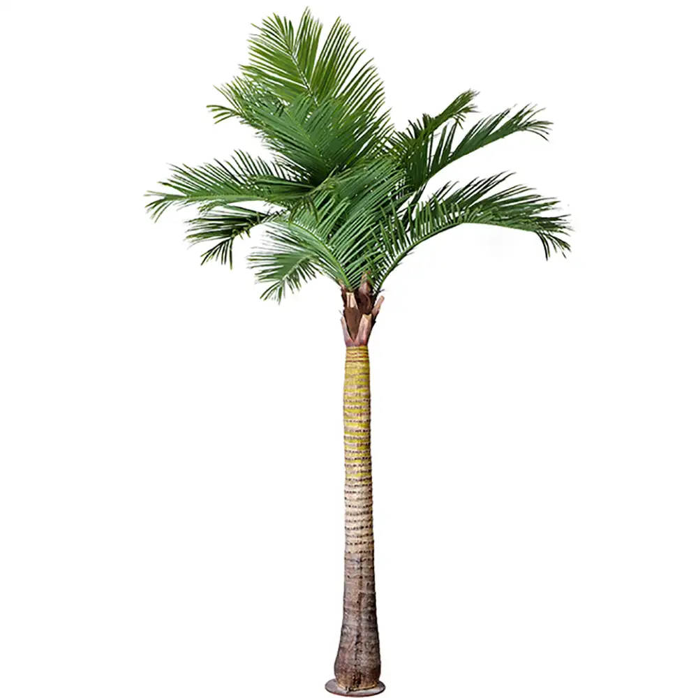 Mr Plant, Palm 370 cm