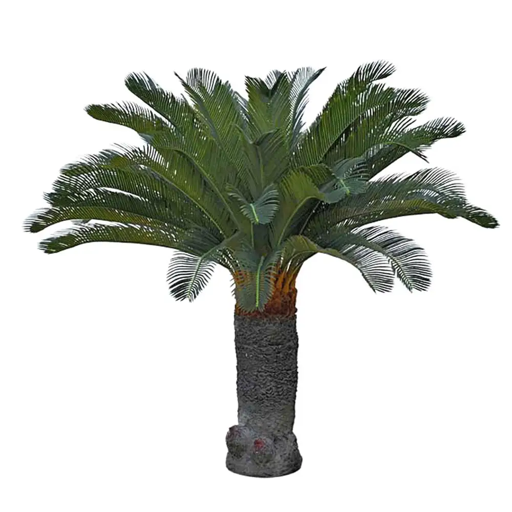 Mr Plant, Cycas Palm 130 cm