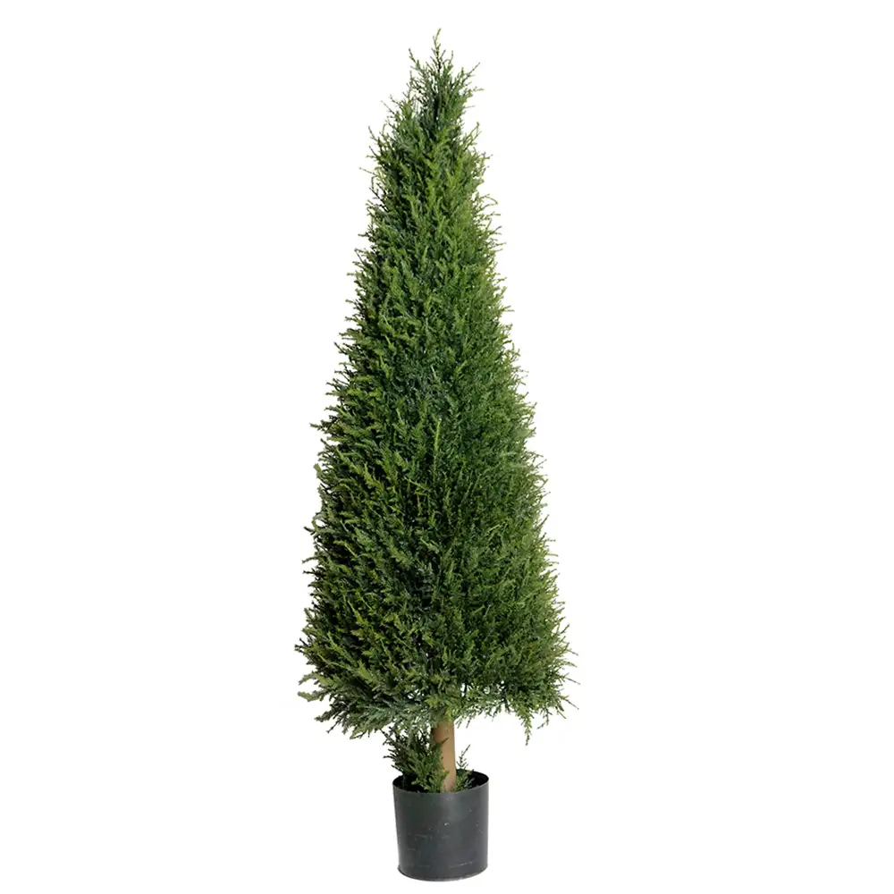 Mr Plant, Enträd 110 cm