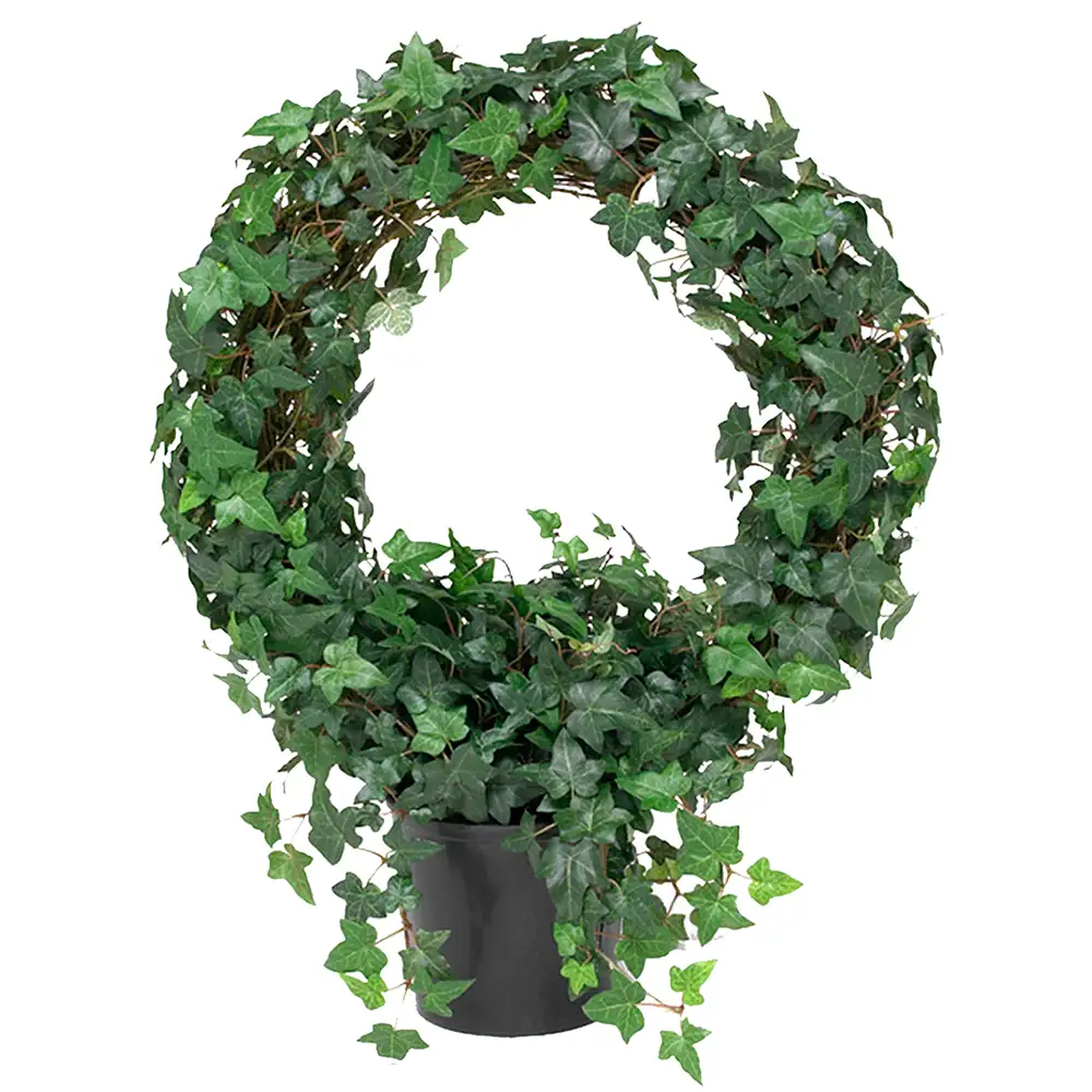 Mr Plant, Murgörna 85 cm grön