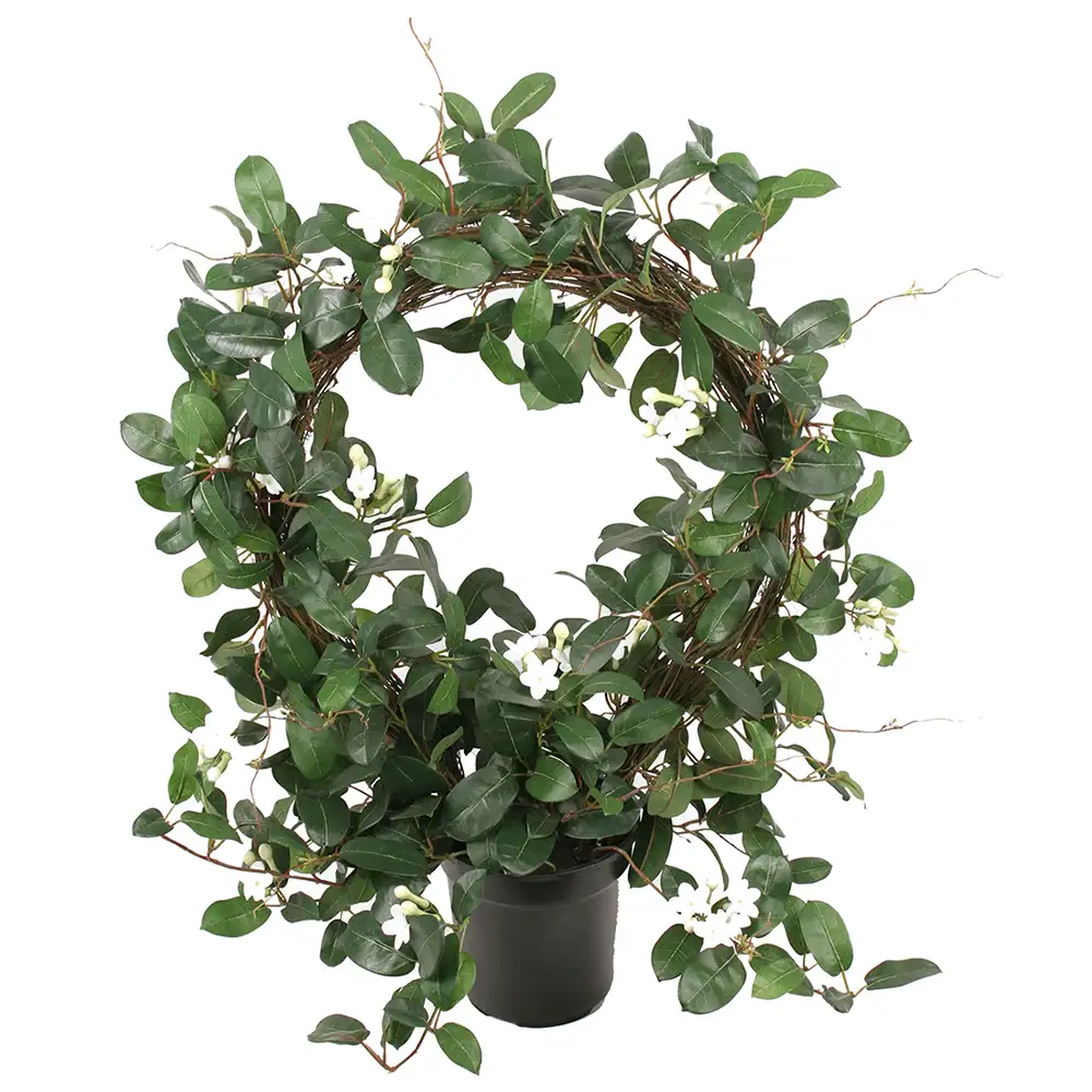 Mr Plant, Stephanotis Krukväxt 75 cm Vit