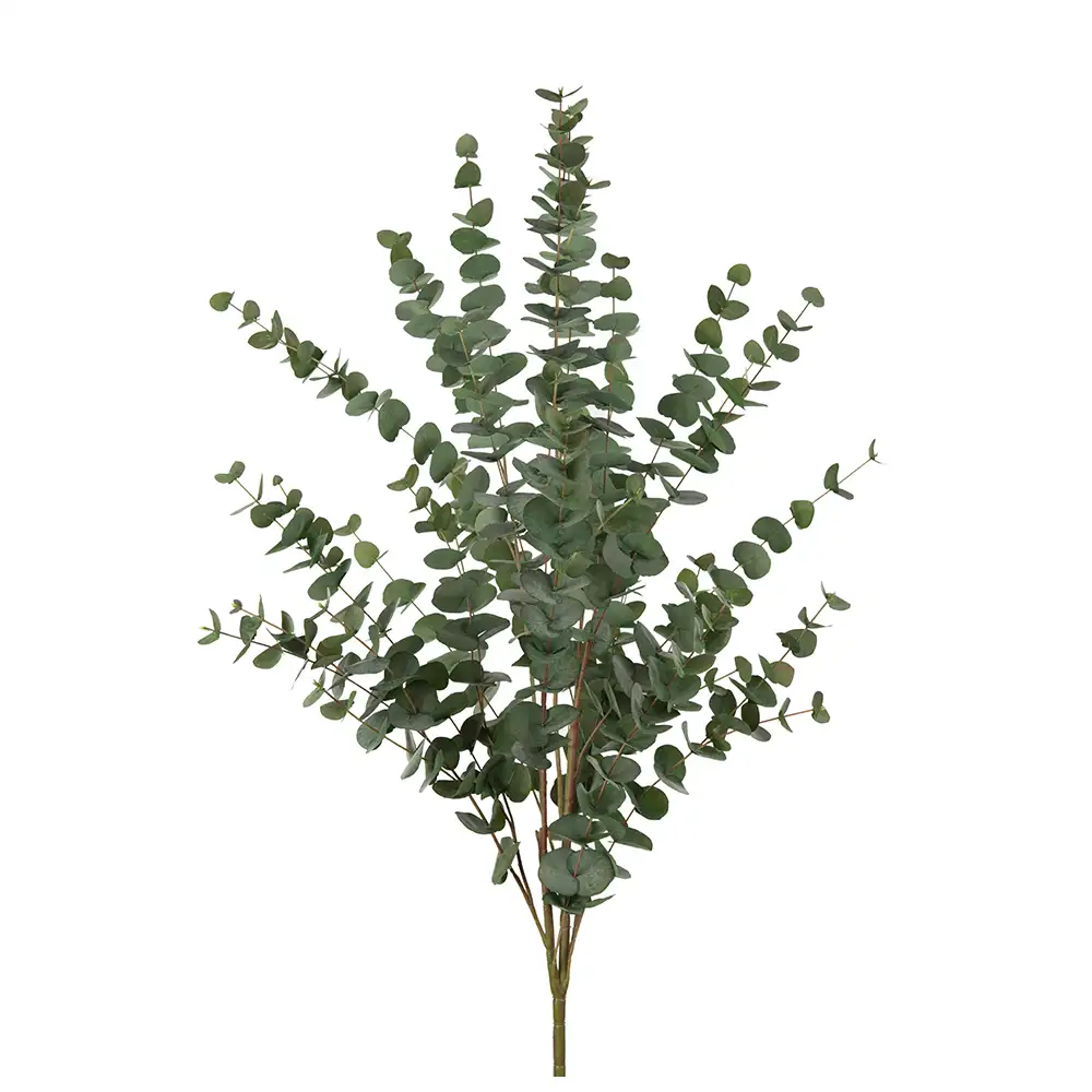 Mr Plant, Eucalyptus Kvist 120 cm