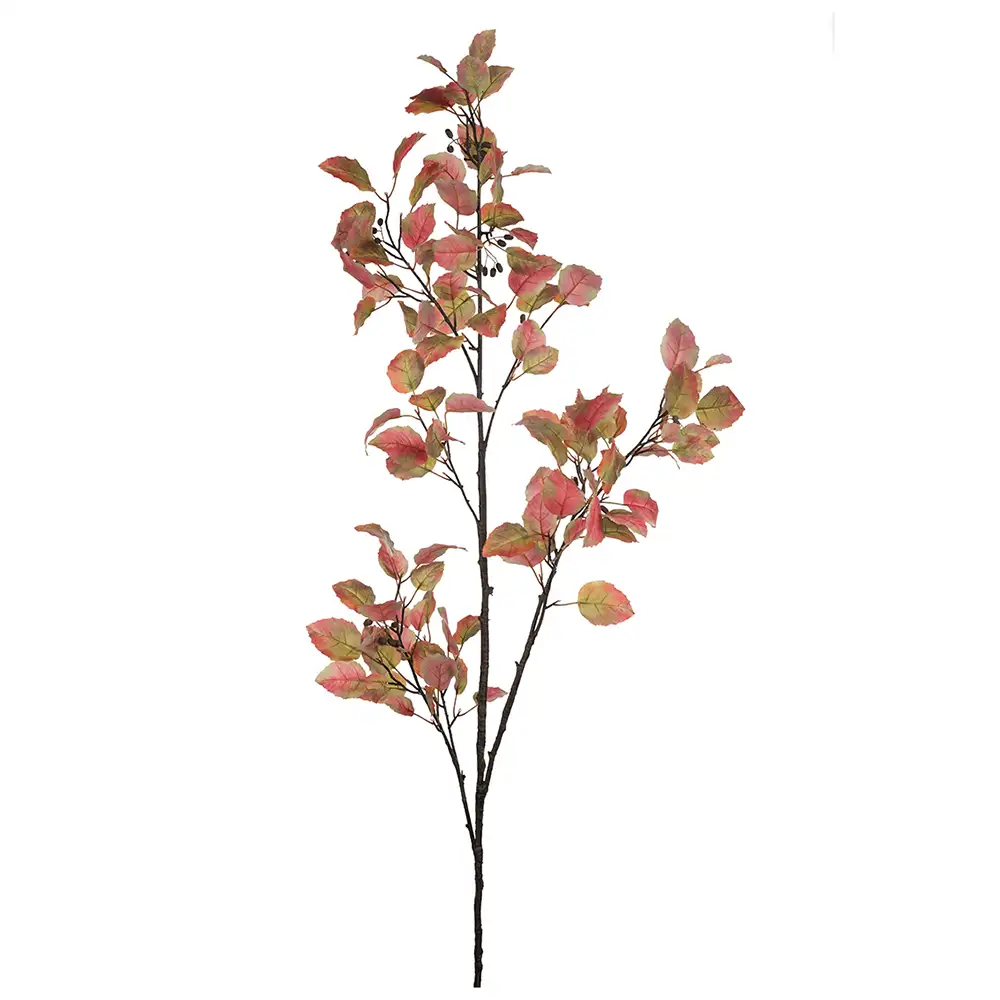 Mr Plant, Alm Kvist 230 cm