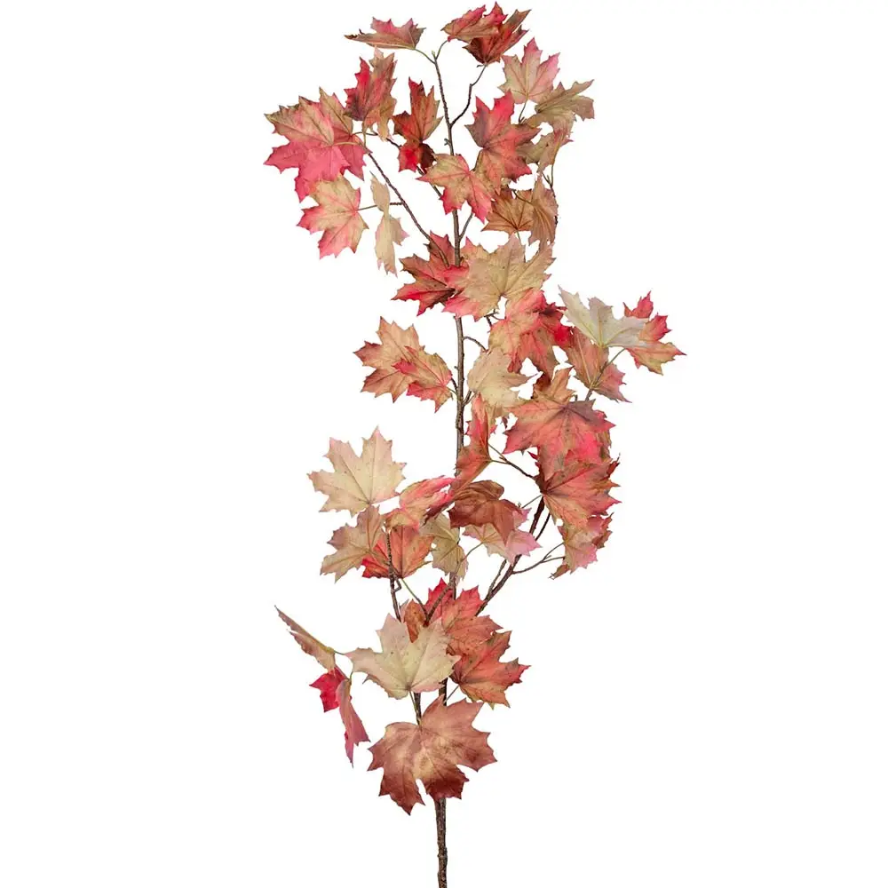 Mr Plant, Lönnkvist 230 cm