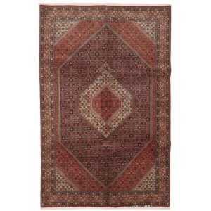 Bidjar Zandjan orientalisk matta 196 x 308 cm