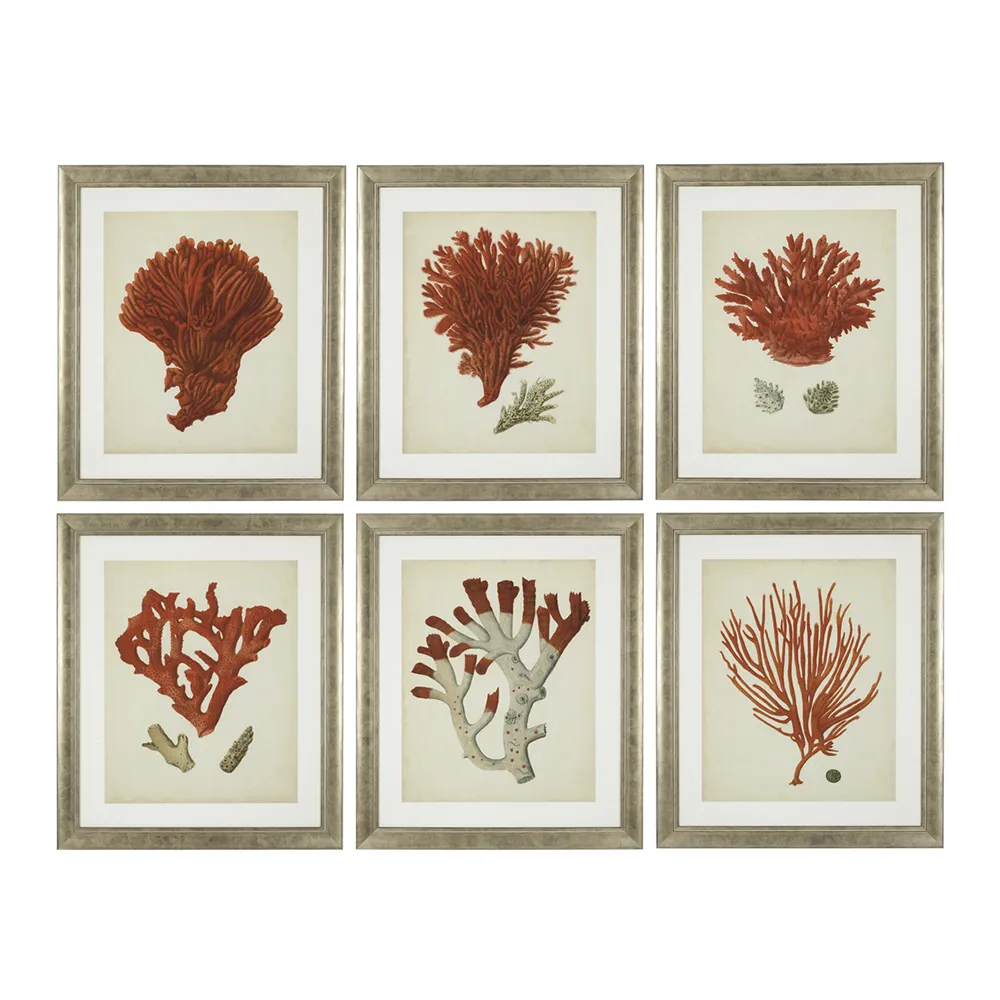 Eichholtz, Print Antique Red Corals set of 6