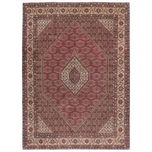 Bidjar Zandjan orientalisk matta 252 x 347 cm