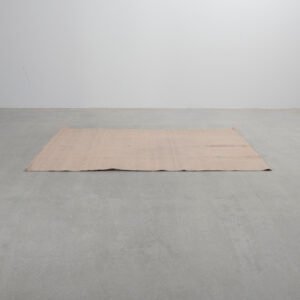 Dixie PET matta beige 160 x 230 cm