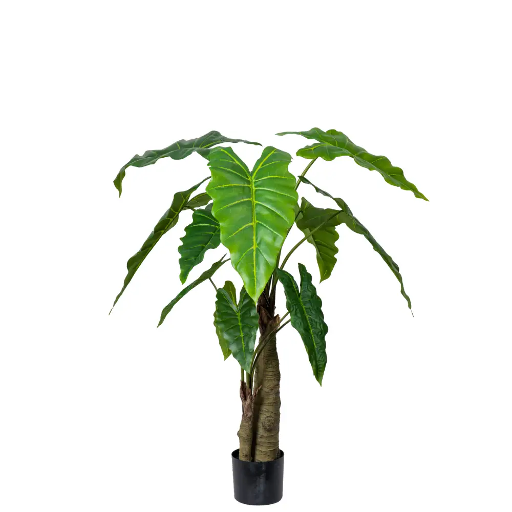 Mr Plant, Alocasia Träd 120 cm