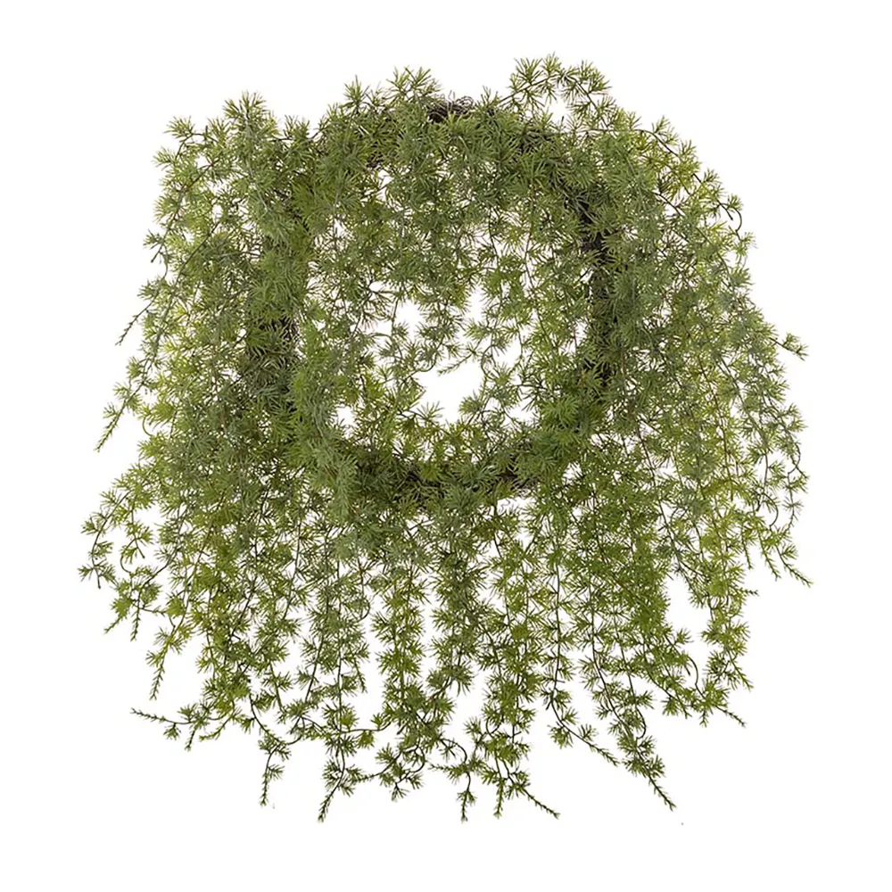 Mr Plant, Krans 50 cm