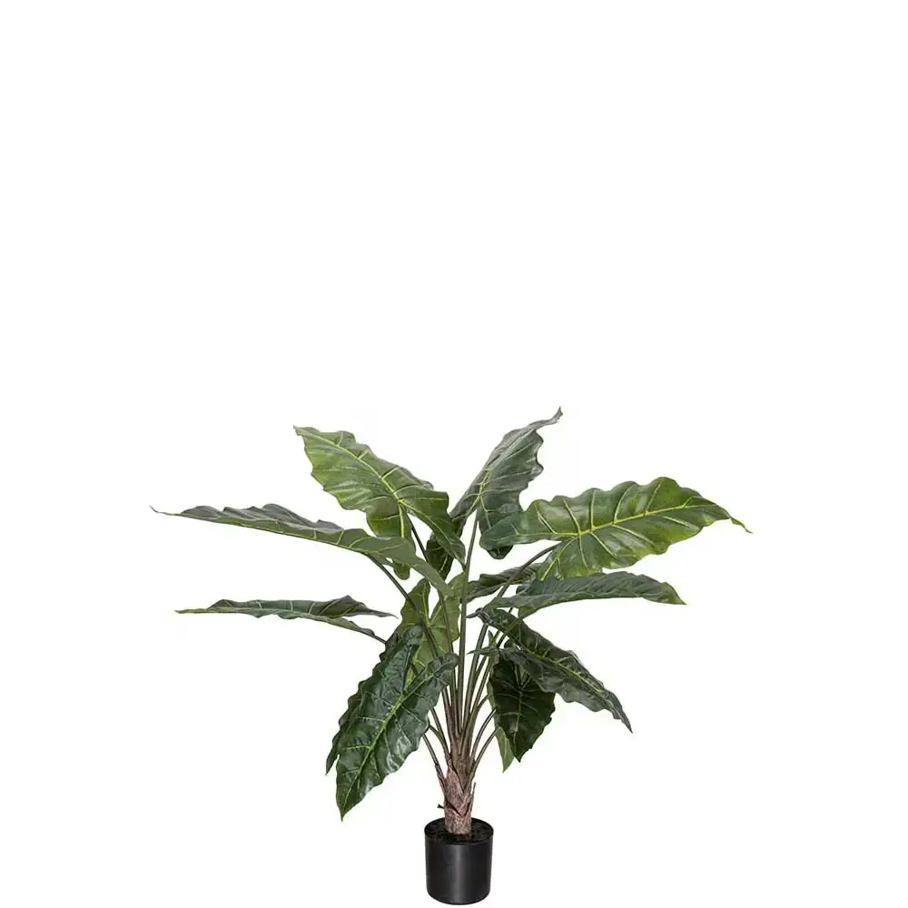 Mr Plant, Alocasia Krukväxt 90 cm