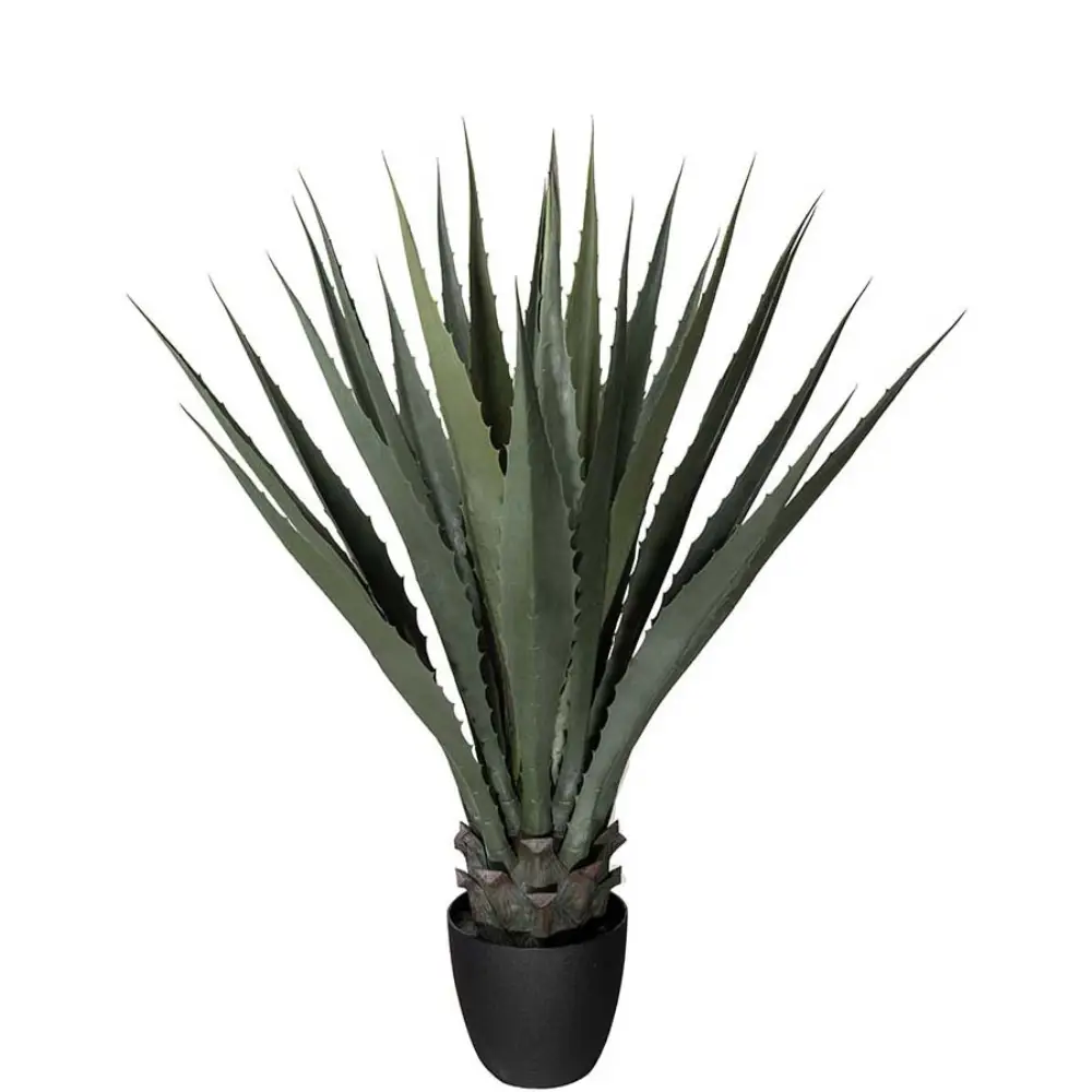 Mr Plant, Agave Grön 100 cm