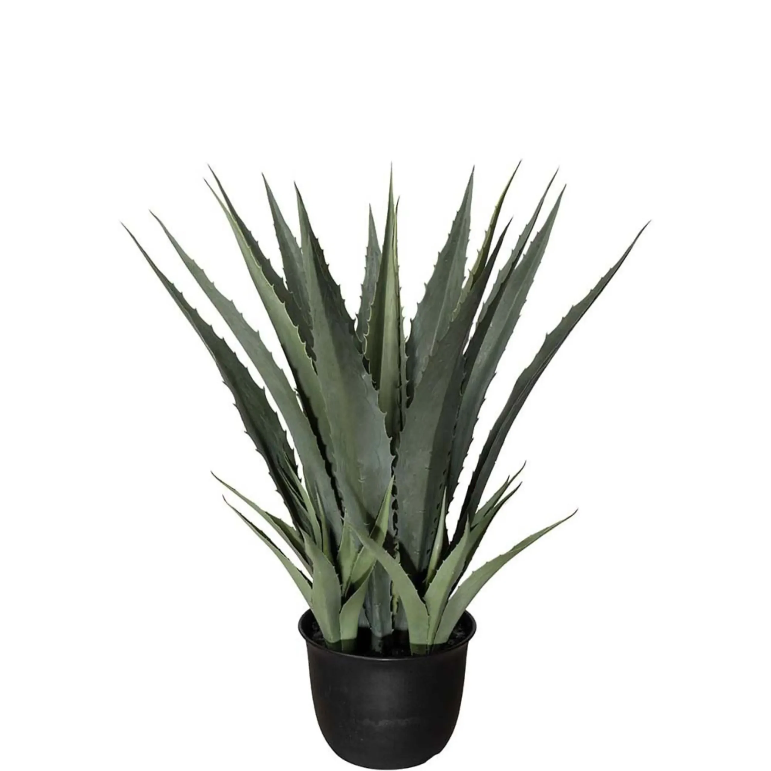 Mr Plant, Agave Grön 100 cm