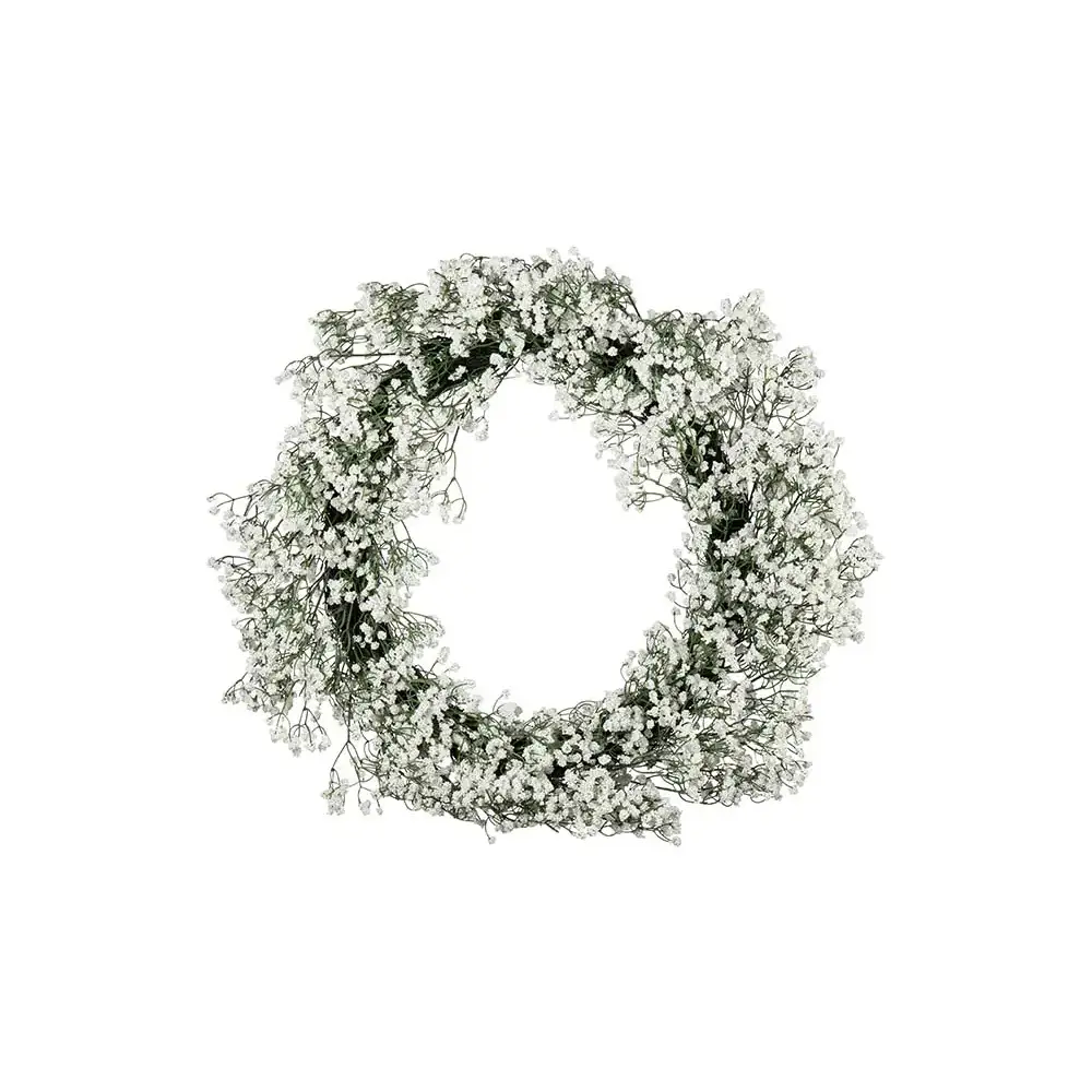 Mr Plant, Brudslöjakrans Vit