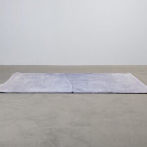 CS Rugs Cameleon ullmatta 170 x 280 cm lavendel