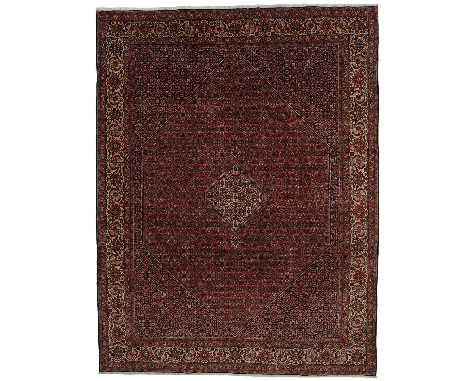 Bidjar Zandjan orientalisk matta 248 x 350 cm