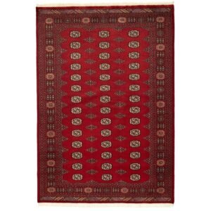 Pakistan handknotted orientalisk matta 172 x 246 cm