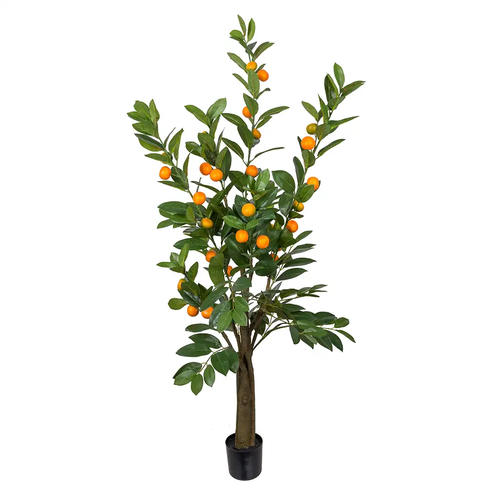 Mr Plant, Citrusträd 150 cm