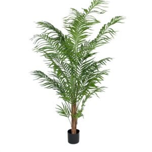 Mr Plant, Areca Palm 180 cm