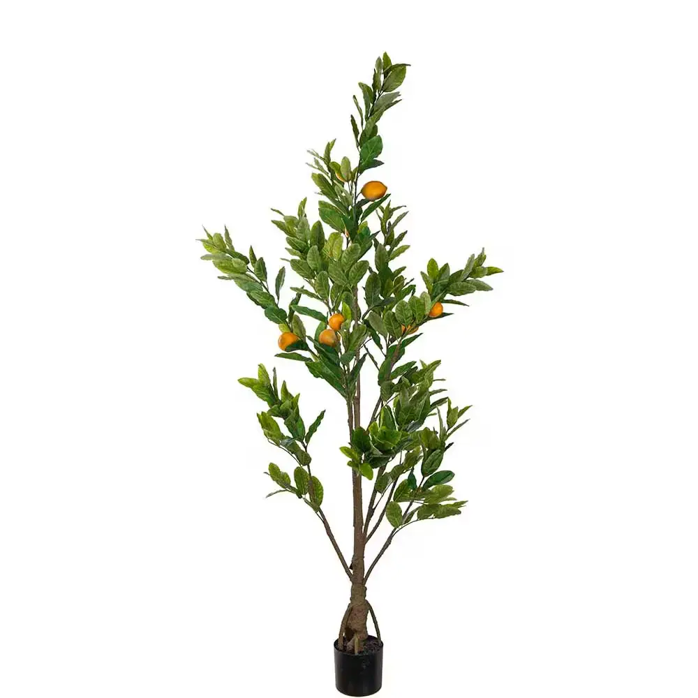 Mr Plant, Citronträd Grön 180 cm