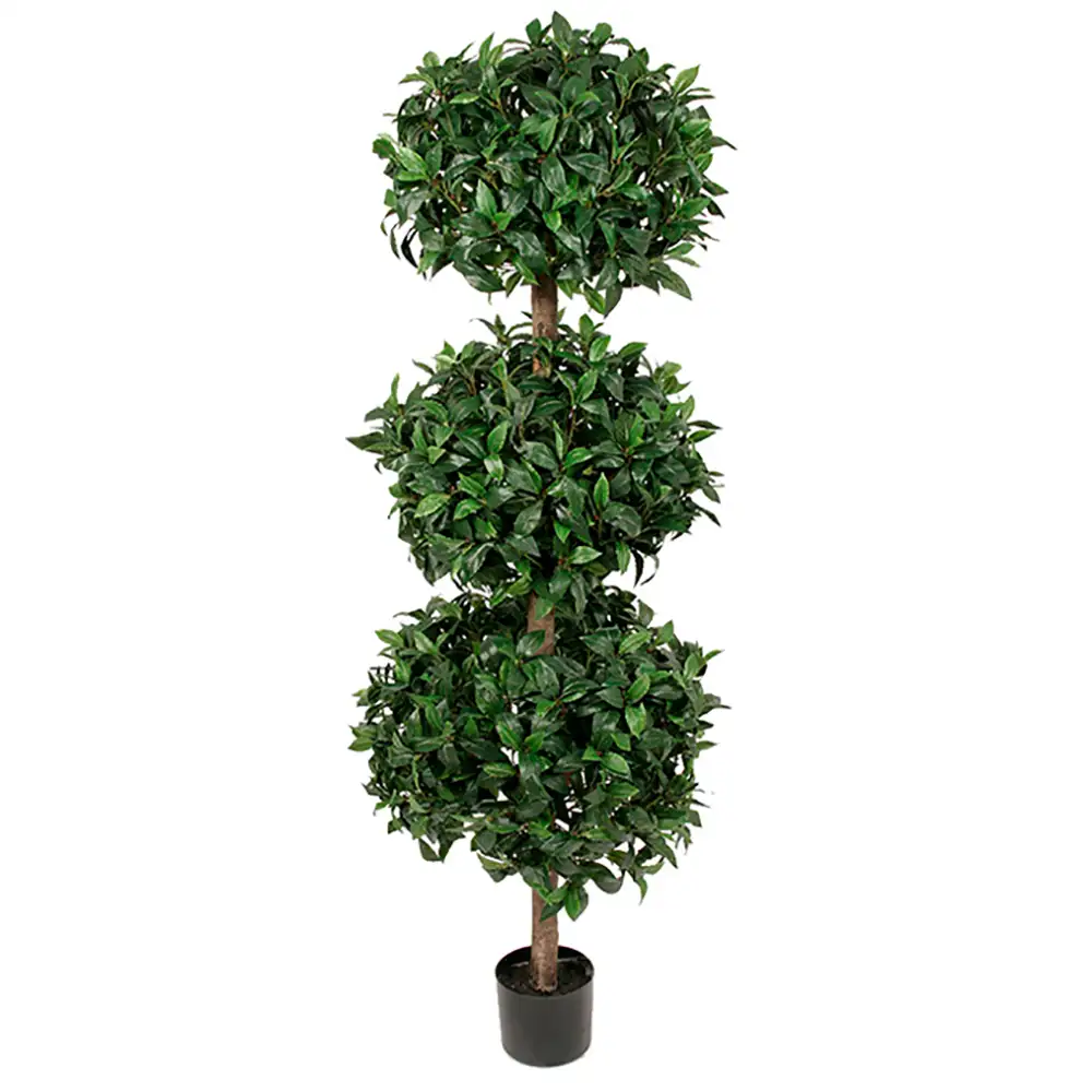 Mr Plant, Lagerträd 150 cm