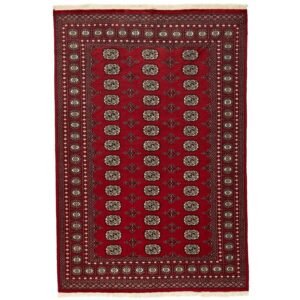 Pakistan handknotted orientalisk matta 168 x 248 cm