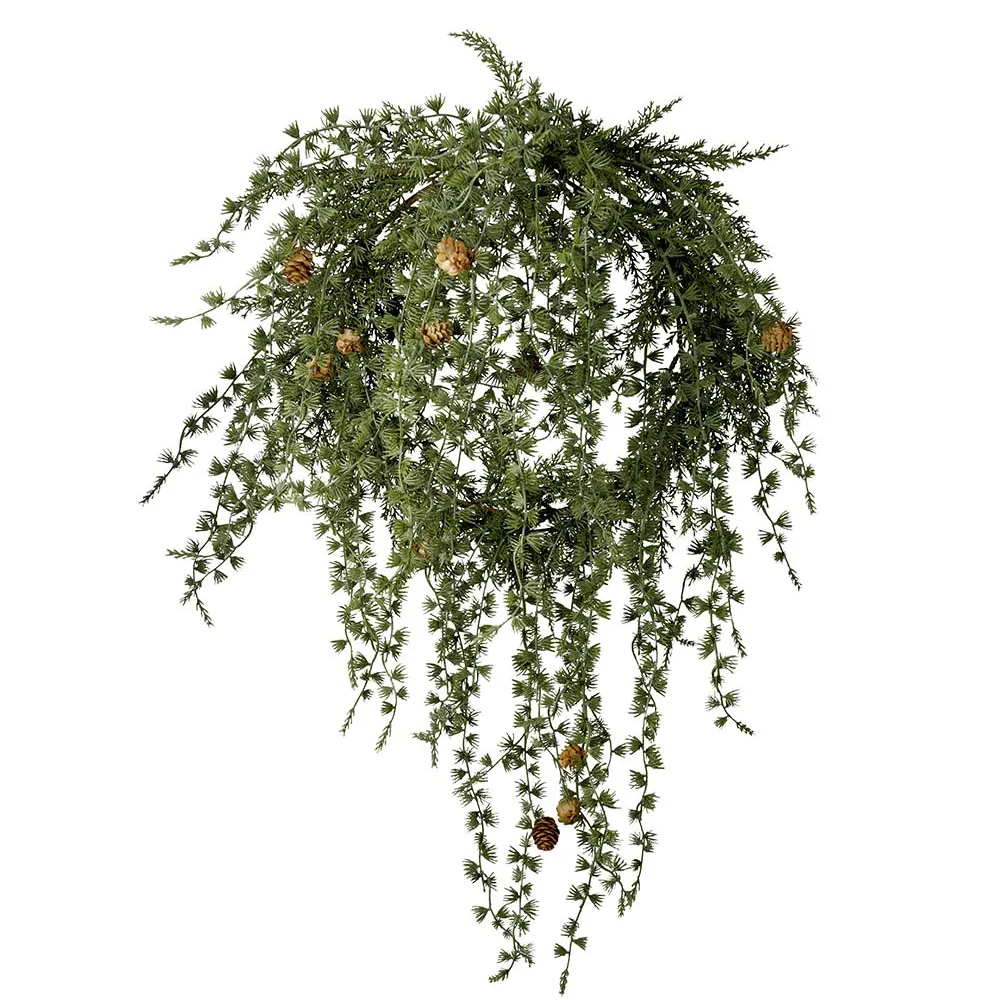 Mr Plant, Julkrans med kottar