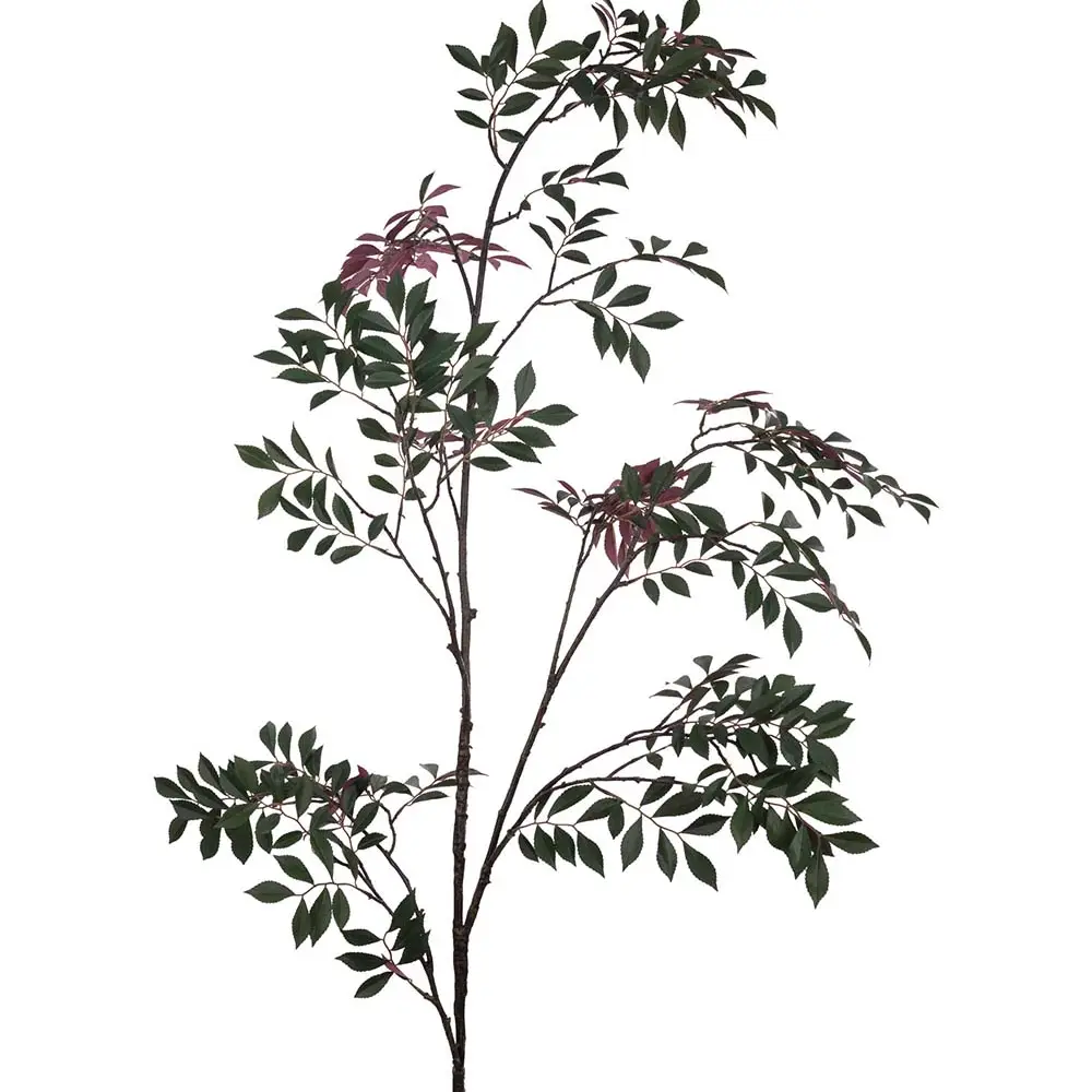 Mr Plant, Japansk Rönn kvist 230 cm