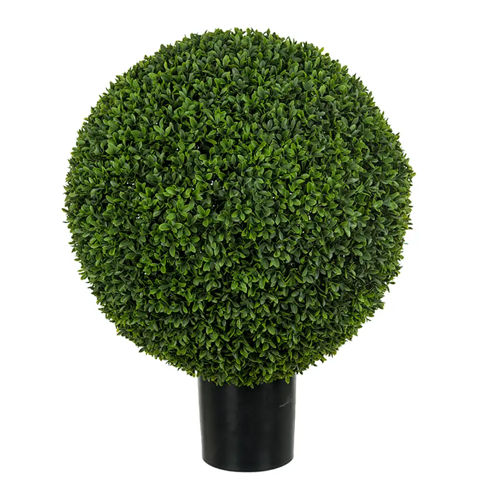 Mr Plant, Buxbom i kruka 65 cm