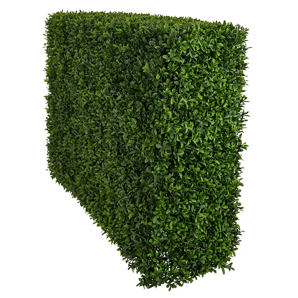 Mr Plant, Buxbom buske 75 cm