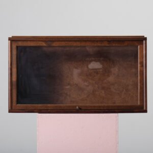 Boknäs Pärmvitrin med glasdörr D39