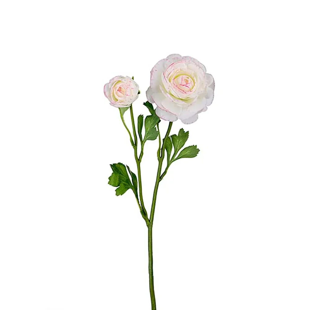 Mr Plant, Ranuncel Snittblomma 45 cm Flerfärgad