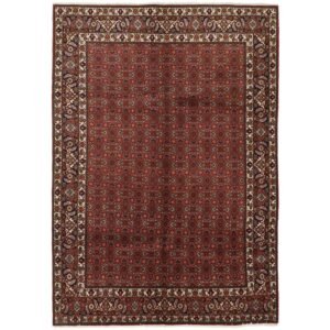 Bidjar Zandjan orientalisk matta 205 x 285 cm