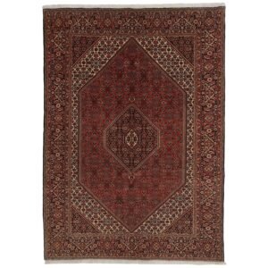 Bidjar Zandjan orientalisk matta 192 x 300 cm