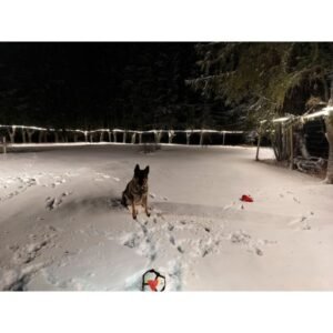 Led-listpaket AGGE Lite 230V - 400 lm/m, 150 m, 4000K