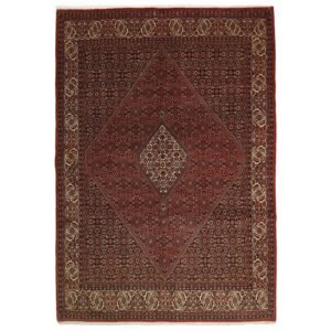 Bidjar Zandjan orientalisk matta 202 x 284 cm