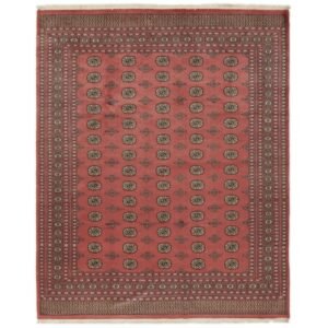 Pakistan handknotted orientalisk matta 250 x 307 cm