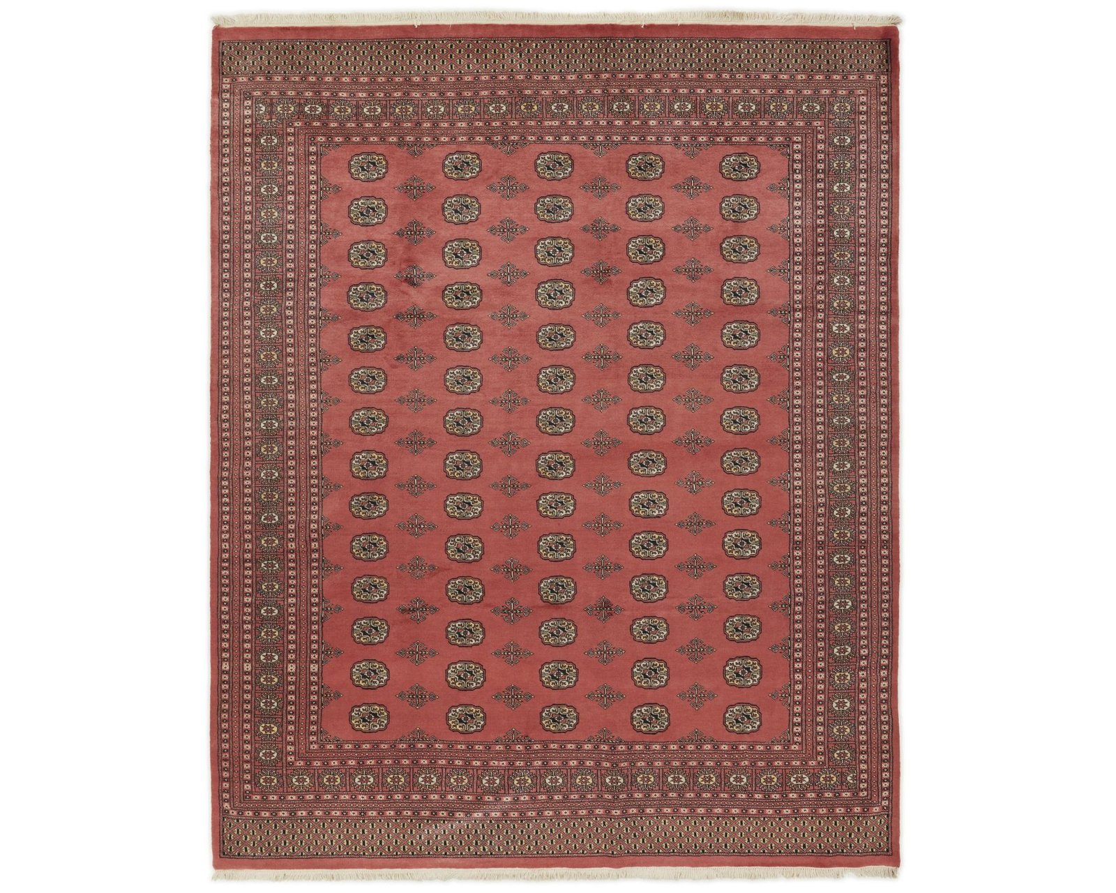 Pakistan handknotted orientalisk matta 250 x 307 cm