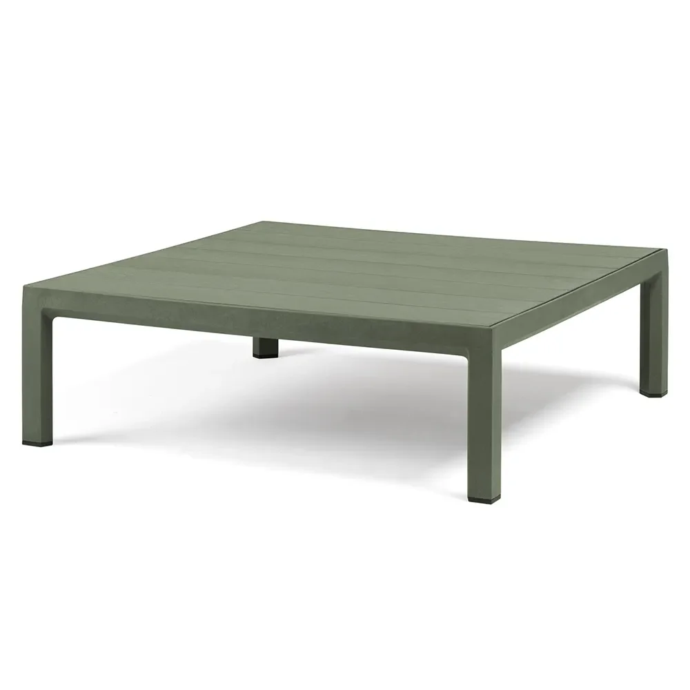 Nardi, Maximo Soffbord-Cactus